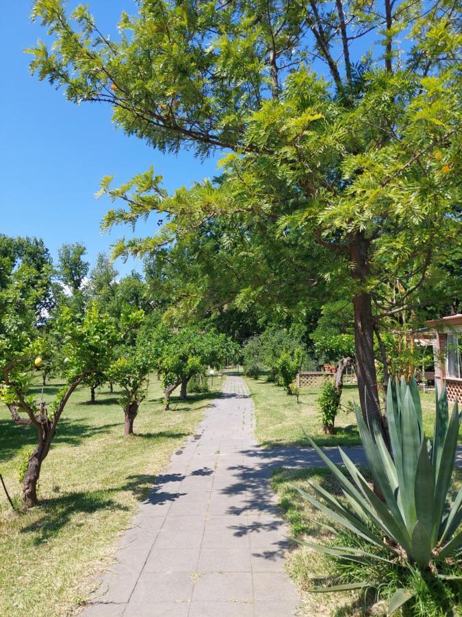 Villa Piersepp B&B Trappitello Zewnętrze zdjęcie